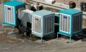 ۵۷۶۹۶۰۵۵_۸۱۶۱۰۹