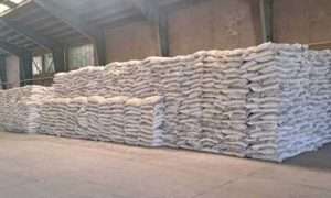 IMG-20250508-WA0037_166099