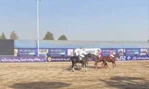 photo_2025-09-16_21-18-29_337582