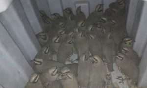 ۱۷۲۱۶۰۲۹۴_۷۰۰۶۷۸