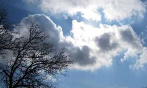 ۳۳۶۷۶۸۱_۸۸۱۰۷۶