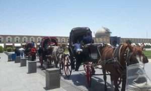 ۴۲۰۷۸۳۹_۴۸۰۱۵۶