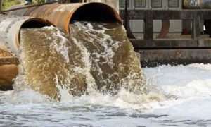 ۵۲۴۳۳۷۶_۷۰۹۳۷۴