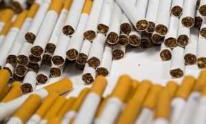 ۵۳۰۵۰۴۳_۴۹۷۷۱۱