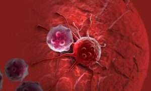 ۵۳۴۶۹۵۸_۴۲۳۸۵۶