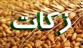 ۵۷۲۱۷۱۵_۵۱۱۱۹۷