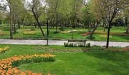 b8b8b022-3481-4d10-b439-db450b71e71e_210986