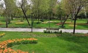 b8b8b022-3481-4d10-b439-db450b71e71e_210986