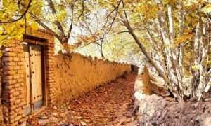 پاییز۱_۸۱۵۴۳۷