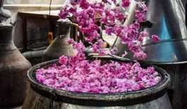 ۱۳۲۶۹۲۳۲_۷۴۳_۲۱۰۷۴۷