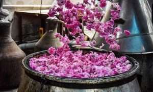 ۱۳۲۶۹۲۳۲_۷۴۳_۲۱۰۷۴۷