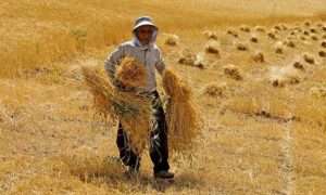 ۱۷۲۲۵۱۸۷۷_۶۲۴۴۳۸