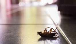 ۲۰۷۹۴۹۹_۴۷۳_۱۱zon