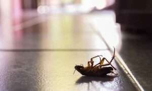 ۲۰۷۹۴۹۹_۴۷۳_۱۱zon