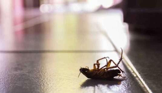 ۲۰۷۹۴۹۹_۴۷۳_۱۱zon