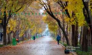 ۴۰۰۰۵۴۳_۹۷۹۴۵۰