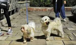 ۵۷۸۲۲۰۵_۵۹۶۴۰۹