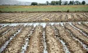 ۶۲۲۳۰۶۸۷_۱۱zon