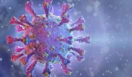 ۶۲۳۹۱۱۶_۴۱۹۰۶۹