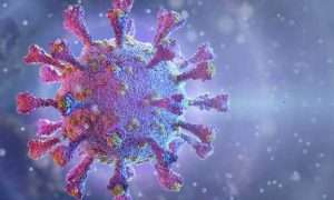 ۶۲۳۹۱۱۶_۴۱۹۰۶۹