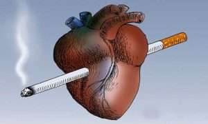 ۶۲۸۴۹۱۳_۵۴۵۲۲۱