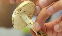 ۶۳۱۷۴۶۵_۳۵۶۷۱۶