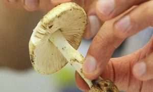 ۶۳۱۷۴۶۵_۳۵۶۷۱۶