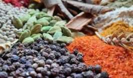 WhatsApp-Image-2021-07-03-at-19.24.10-1-845x321_989027