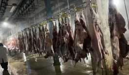 ۱۴۰۴۰۷۱۳۱۱۰۸۵۴۱۷۹۳۴۲۴۹۱۱۴_۹۳۳۶۲۵