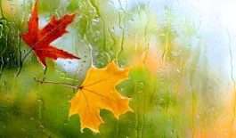 ۱۷۲۵۲۹۵۸۶_۸۷۰۱۹۶