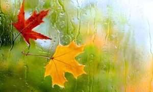 ۱۷۲۵۲۹۵۸۶_۸۷۰۱۹۶