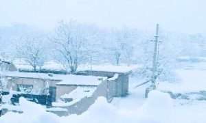 ۱۷۲۵۵۹۶۳۳_۶۹۳۷۴۰