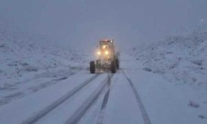 ۱۷۲۵۷۱۲۰۰_۷۲۰۳۳۸