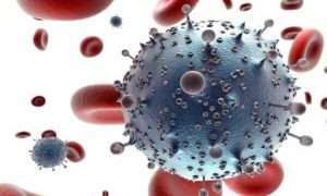 ۳۰۹۲۵۹۱_۷۸۱۱۸۶