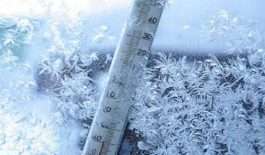 ۵۲۹۶۱۶۳_۴۲۱۶۷۷