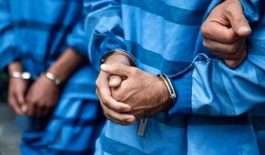 ۵۸۰۳۴۸۶_۴۹۴۳۱۷