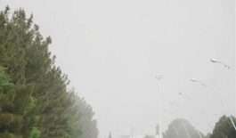 ۵۸۱۹۷۲۴_۷۸۸۲۶۴