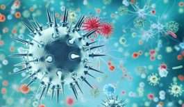 ۶۳۳۱۹۴۱_۸۸۳۰۴۴