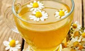 ۶۳۴۰۵۴۹_۲۲۸۲۶۵