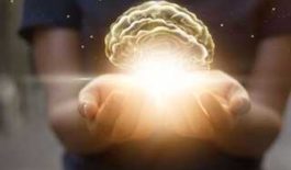 ۶۲۰۳۱۰۸_۳۷۰۲۹۱