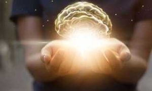 ۶۲۰۳۱۰۸_۳۷۰۲۹۱