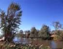 ۱۳۹۳۰۸۱۴۱۹۱۵۴۳۱۳۷۴۰۱۹۷۳۴_compressed_50576x401