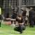 IMG_2978-01_compressed_50576x384
