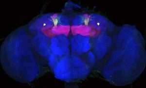 ۱۷۳۰۶۰۷۷۷_compressed