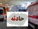 images_compressed(7)