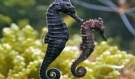 ۶۲۰۱۵۱۵_compressed