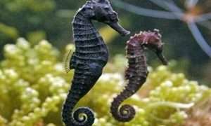 ۶۲۰۱۵۱۵_compressed